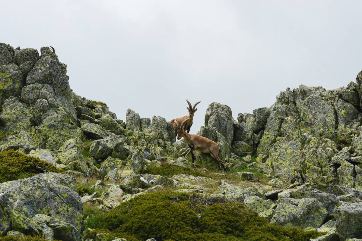 Visiting New Zealand and Doing These Five Things Is One of the Best Things to Do in the World