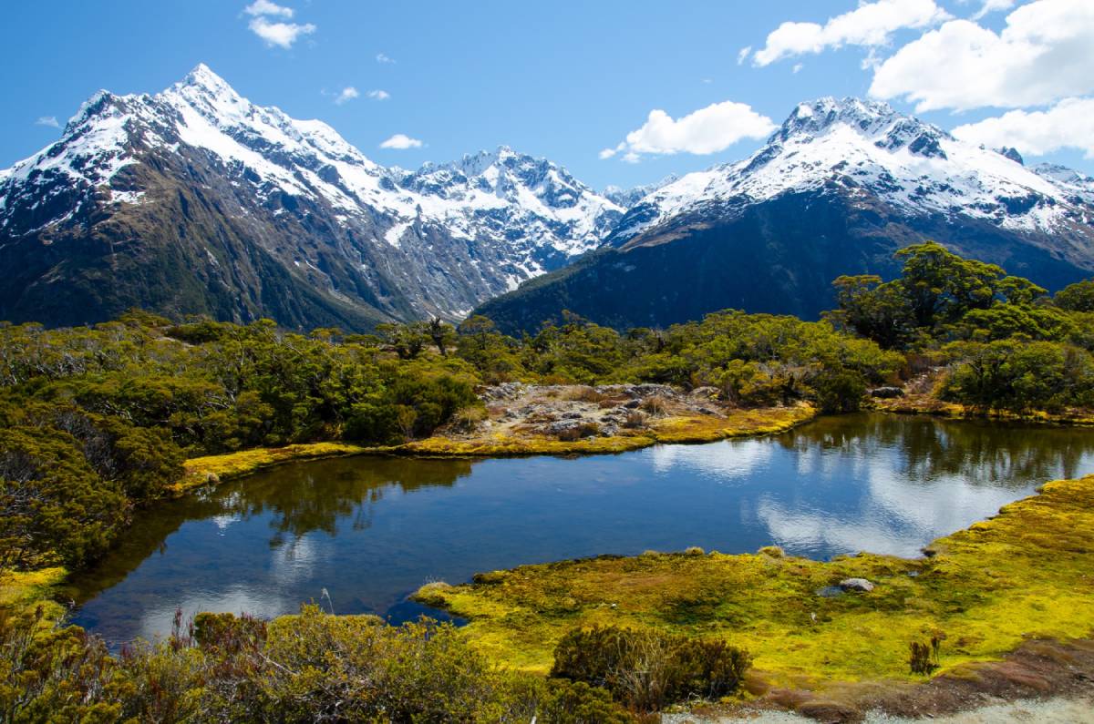 New Zealand Has An Array Of Natural And Manmade Attractions