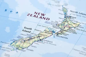 How long does it take to get a New Zealand tourist visa online?