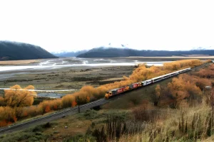 train going on the way on authum in newzealand with mountain - New zealand visa 