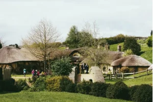 Hobbiton Movie Set | December In New Zealand | NZeTA Visa