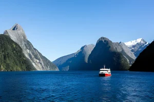 Cruise Ship Image | Milford Sound Cruise Tour | NZeTA Visa